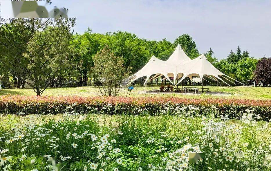 历史的魅力李白曾于743年来到此处写下了著名的《杜陵绝句》"导游"