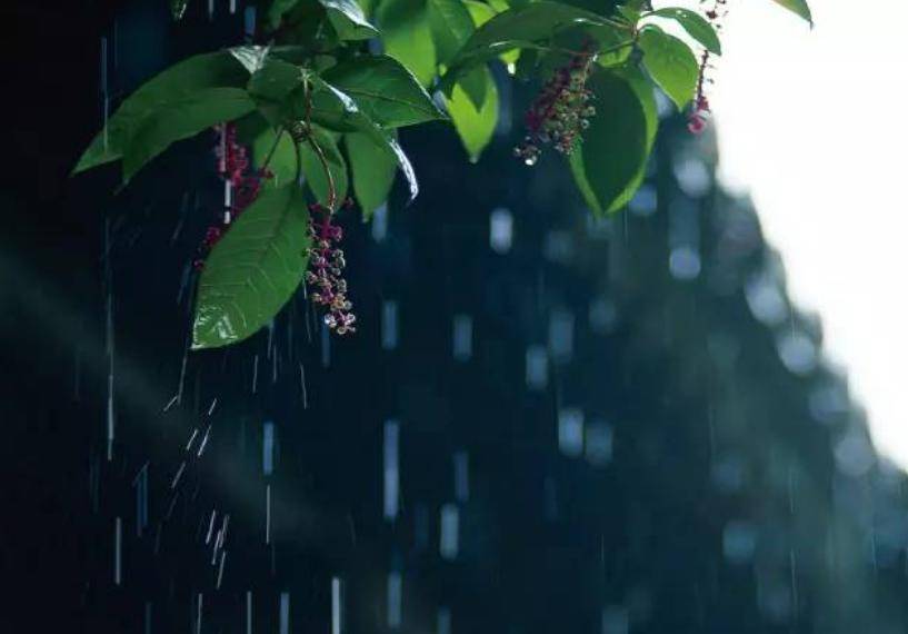 春雷_万物_节气