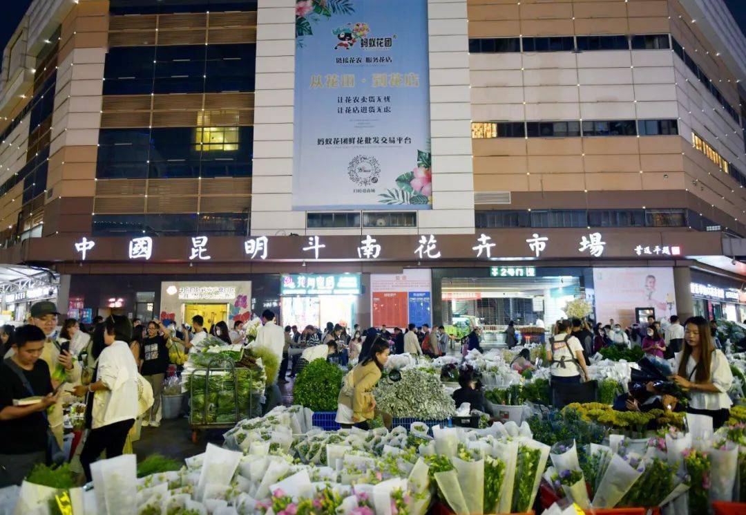 昆明斗南花卉市场february.