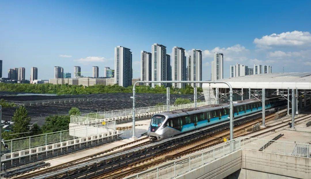 再看杭州地铁19号线,虽通车于2022年,属于"新生儿",但因其是轨道快线
