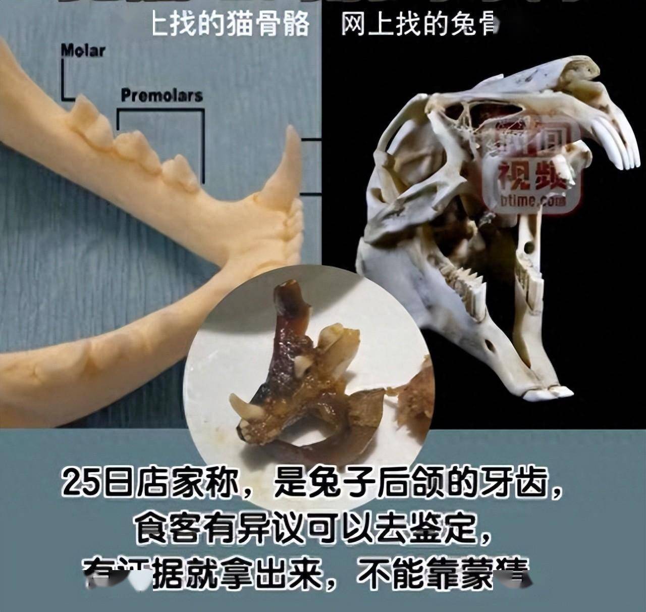 干锅兔中吃出猫牙?柳州市监局回应_牙齿_网友_兔子