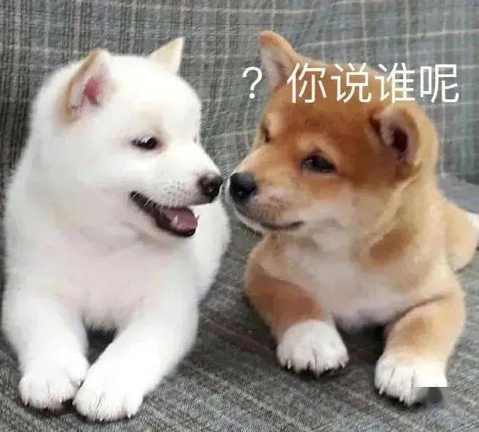 聊天实用表情包:吵死了_公众_il_一个人