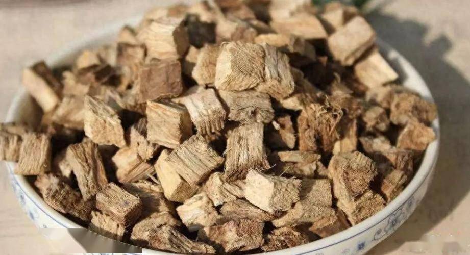 患者_阳气_症状