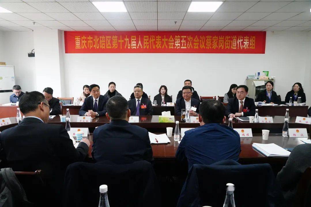区委书记王俊参加区十九届人大五次会议代表组审议_发展_工作_建设