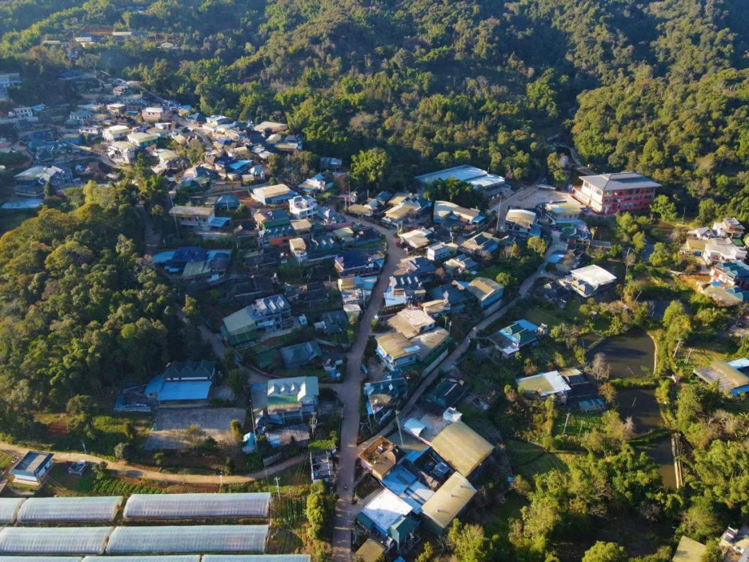 景洪市勐龙镇:立足口岸谋产业,文旅融合促增收_发展_种植_集体经济