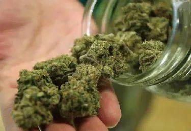 规定_毒品_冰毒