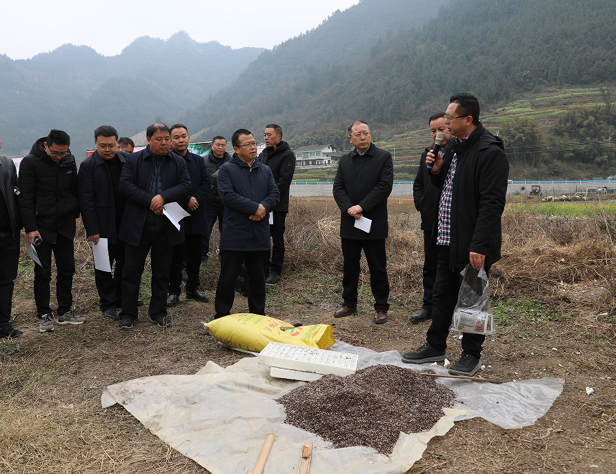 67奋进正当时丨绥阳县2024年春耕生产现场推进会召开_种植_工作