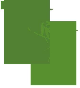 为爱"花"时间学习种植知识制定种植计划获取花匠"上岗证"成为一名新手