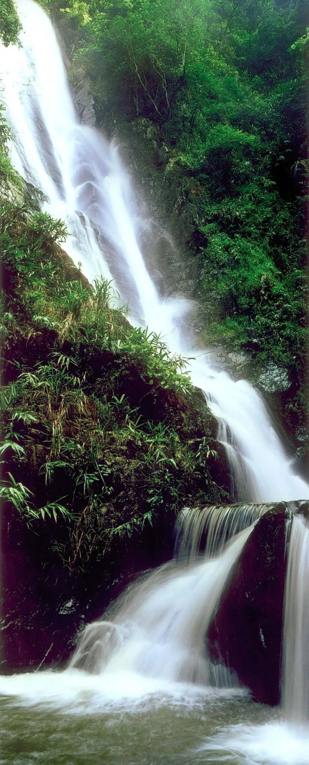 云海翻涌,薄雾缭绕,在肇庆邂逅"人间仙境"~_烟雨_云雾_青山秀水