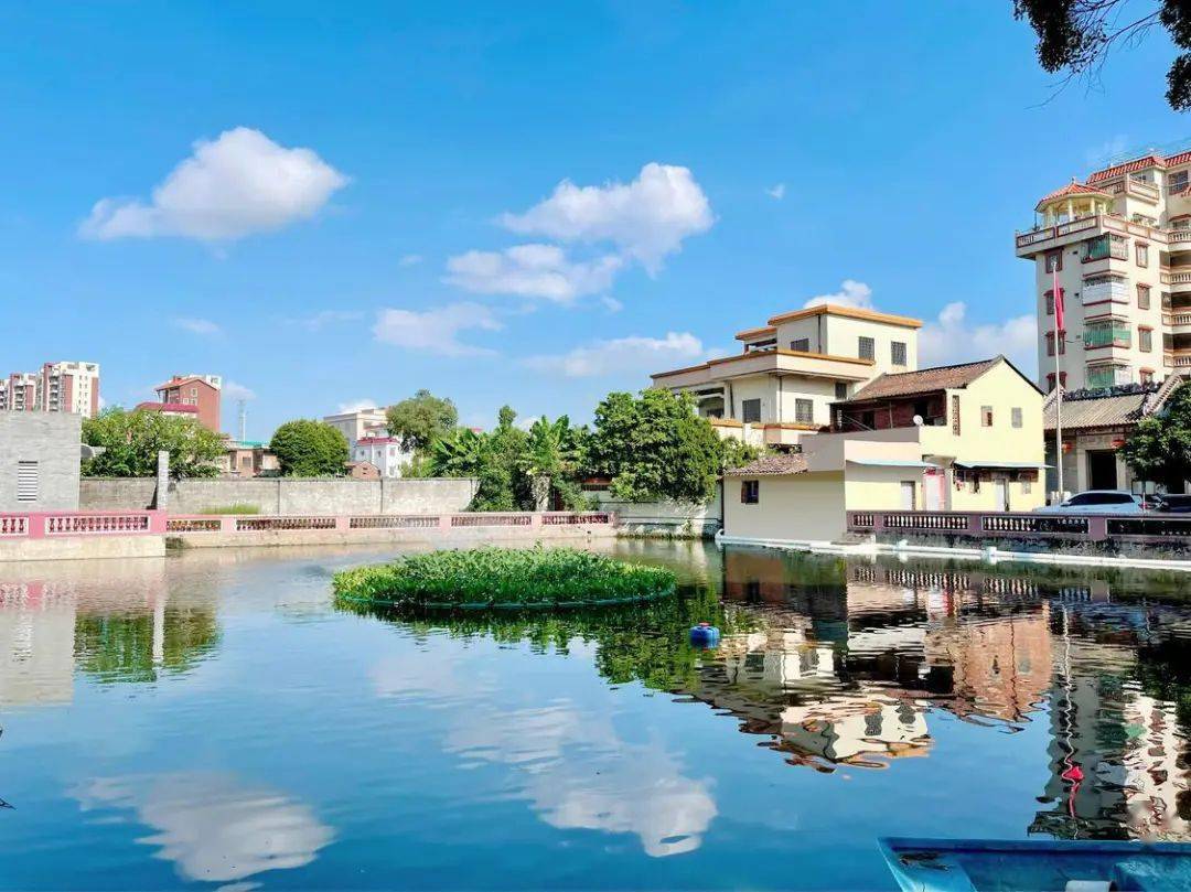 你们村上榜了吗?_项目_街道_禅城区