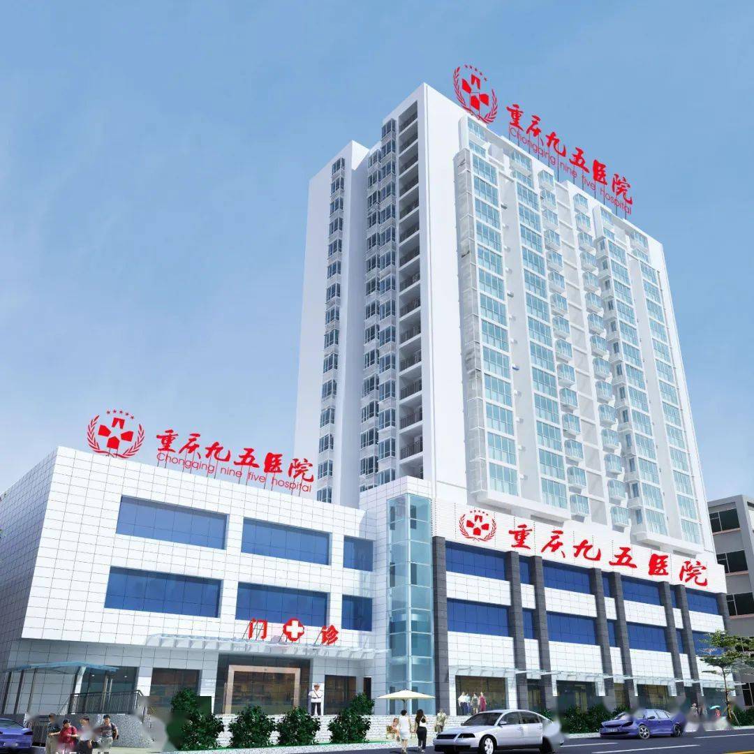 心理健康服务标准化试点项目,由重庆九五医院成功申报并具体承担,该院