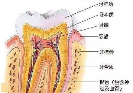 有的人根管治疗后牙齿反而更疼?为什么?