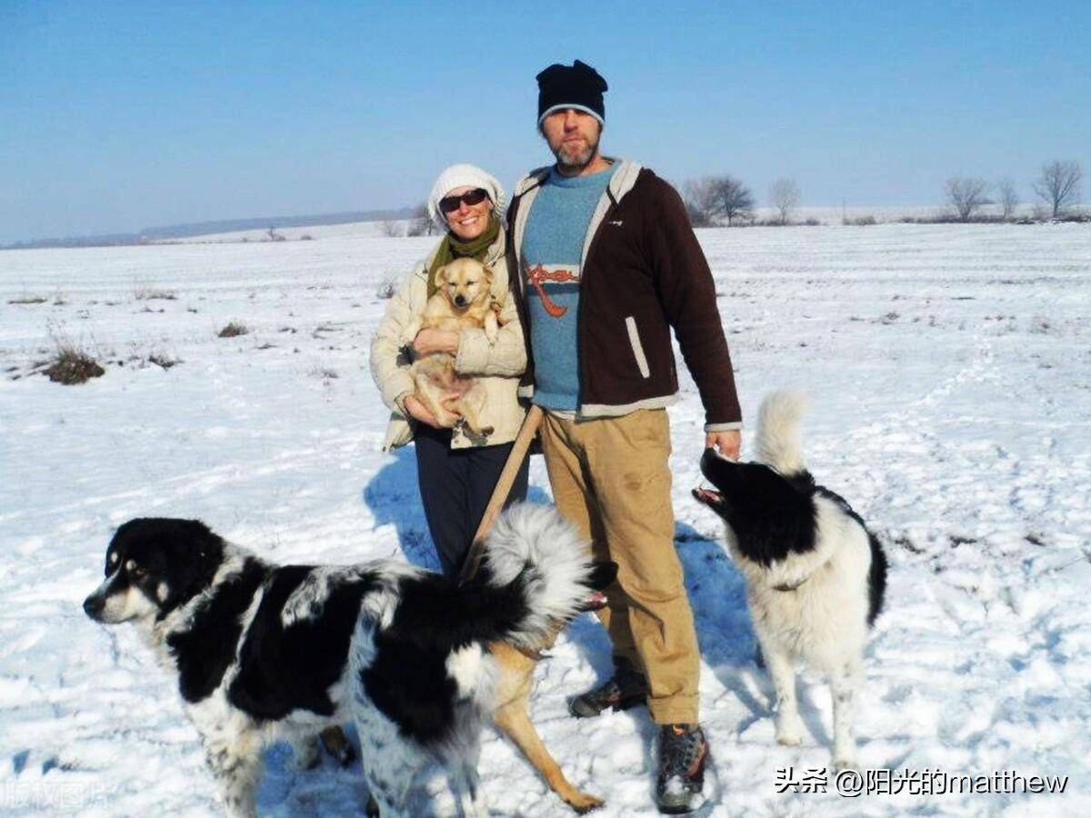 保加利亚夫妇迎接英国克鲁弗兹狗展,使用沙子创作多品种狗狗雕塑_比赛