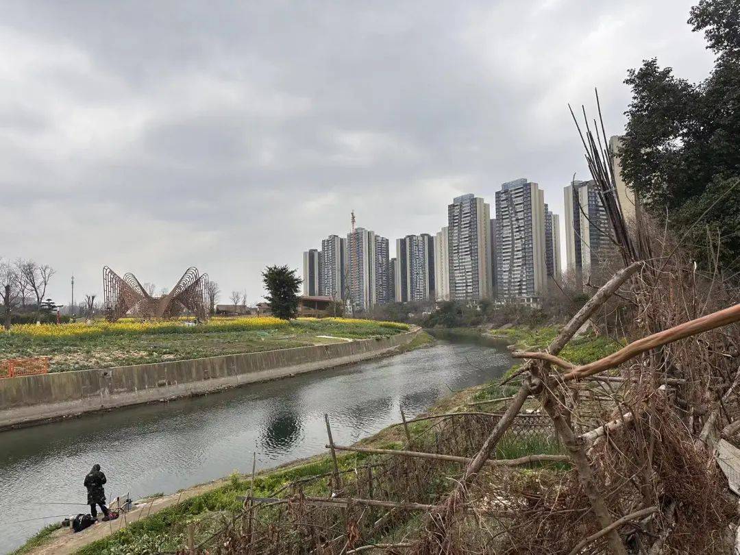 比如,项目西侧规划的江安湖及湿地公园未呈现,项目东侧虽有江安河流过