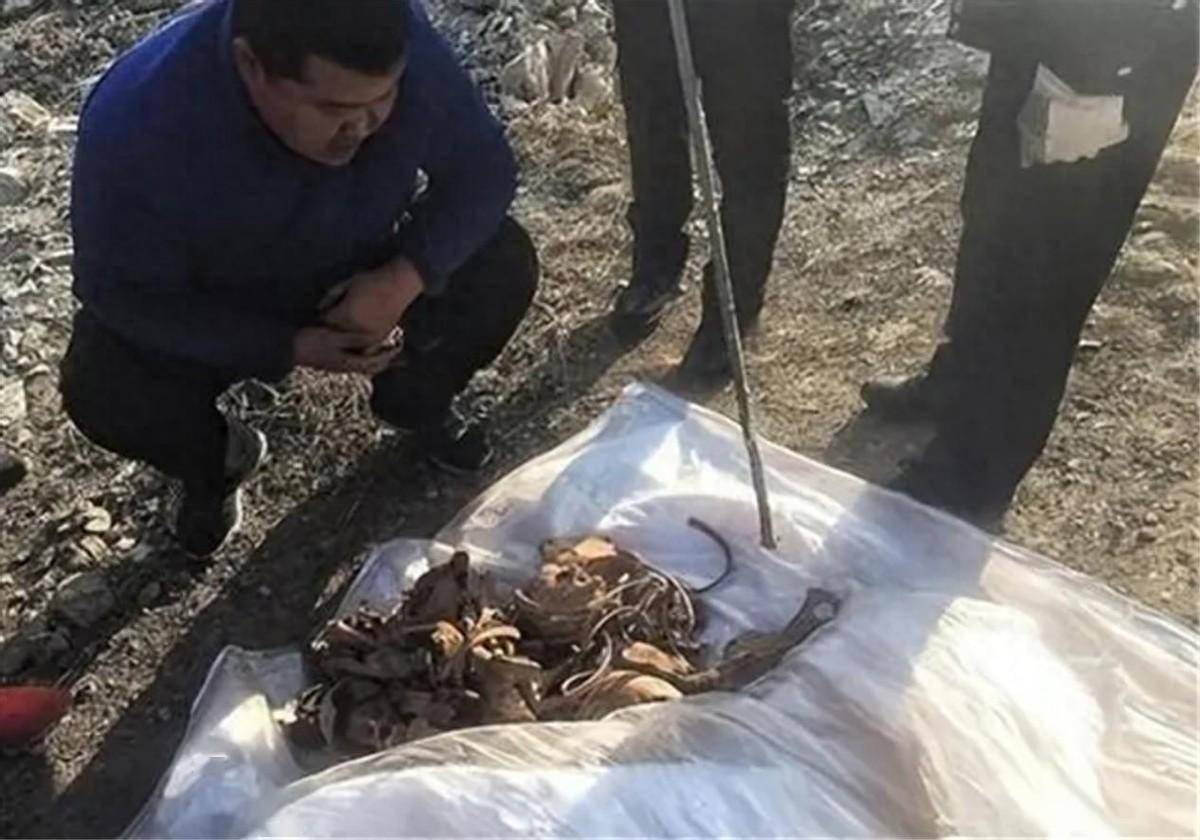 2003年内蒙男子为父迁坟,在墓中发现无名尸骨,牵出生父杀子案_警方_刘