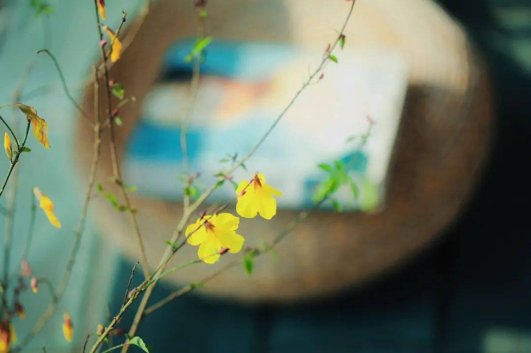 做人的底线,就这7个"不"_骨气_朋友_父母