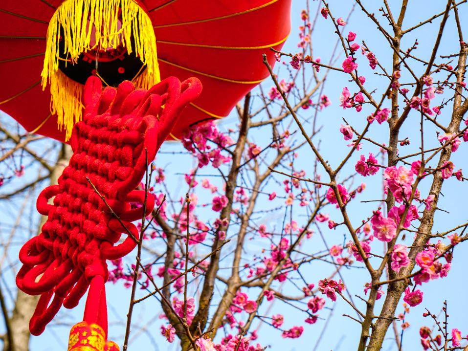 接下来的遂宁64花64花64花64花64花64