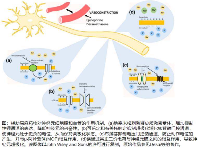 达比加群酯药理机制图片