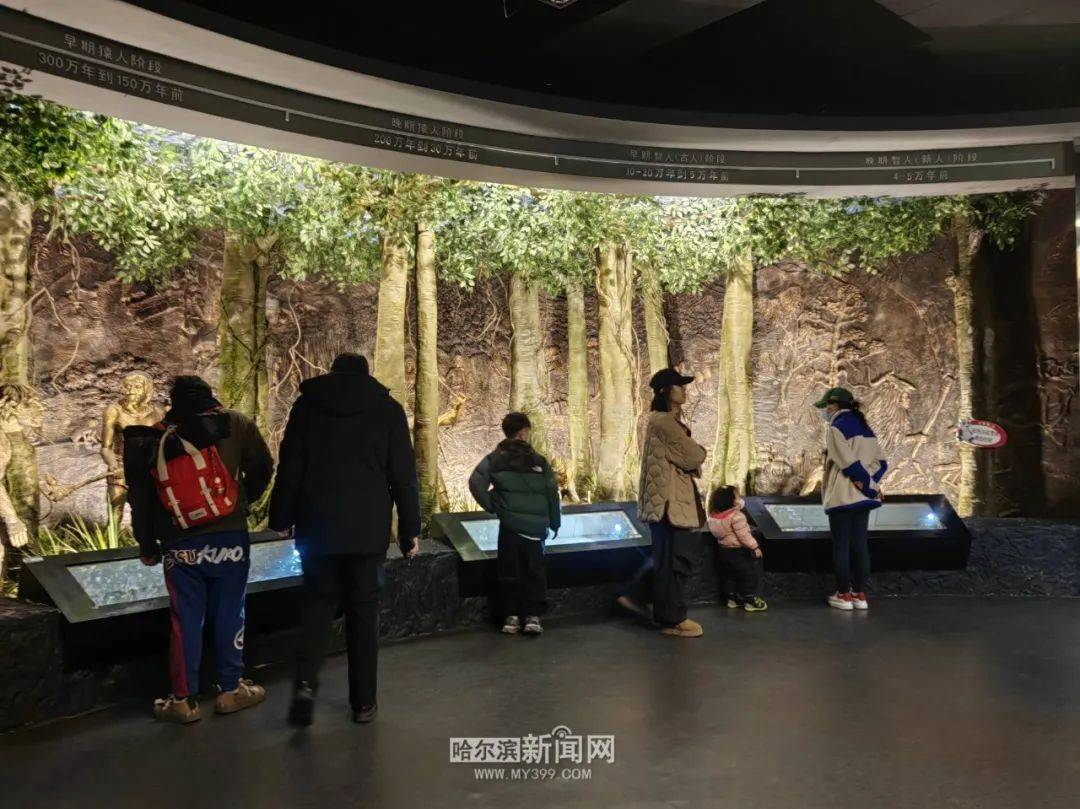 森林博物馆预约参观指南来啦→3月7日起恢复每周四,五,六免费开放