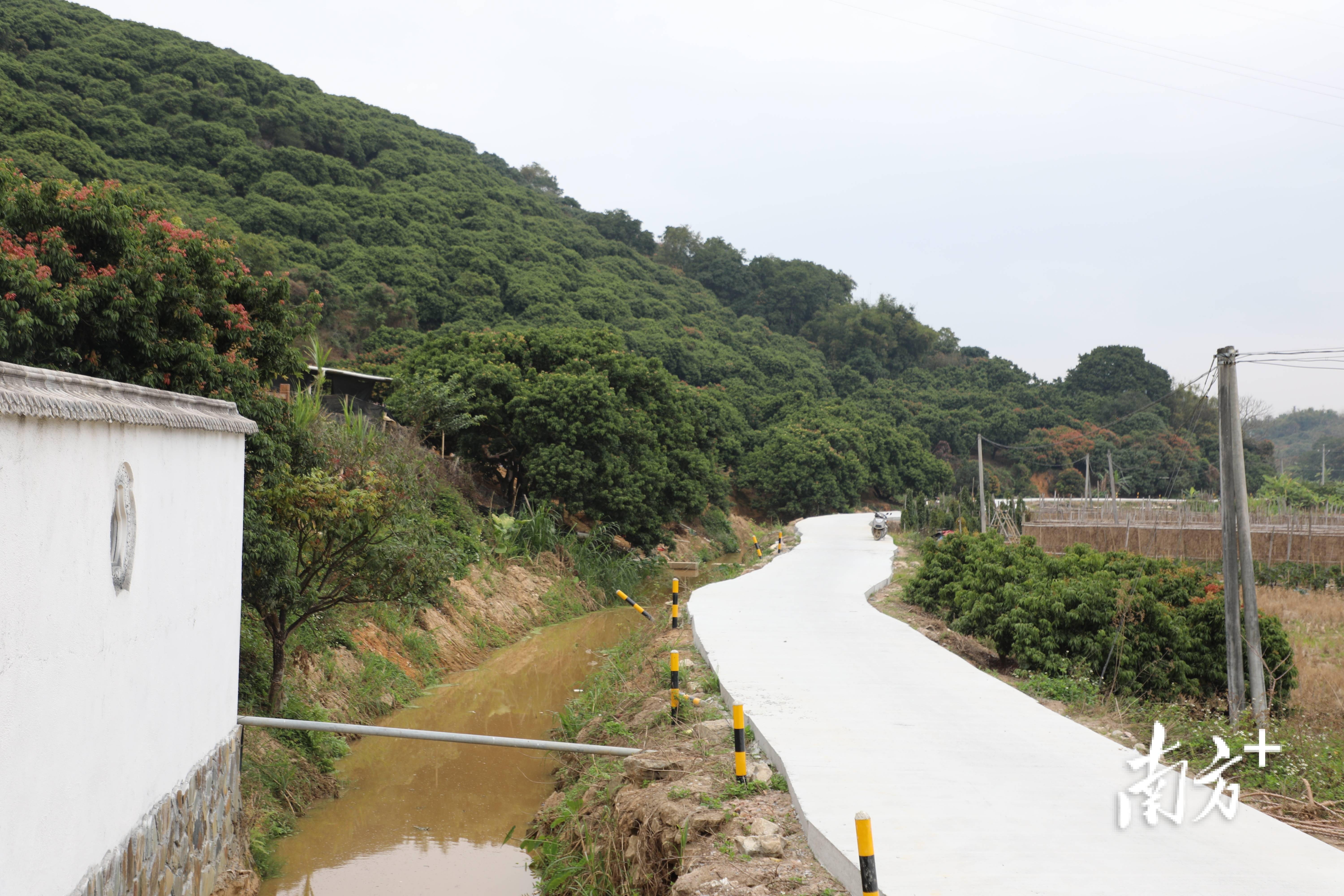 谢鸡镇罗迪坑村: 大山里的"荔枝之春"|走读"百千万工程"典型村①_建设