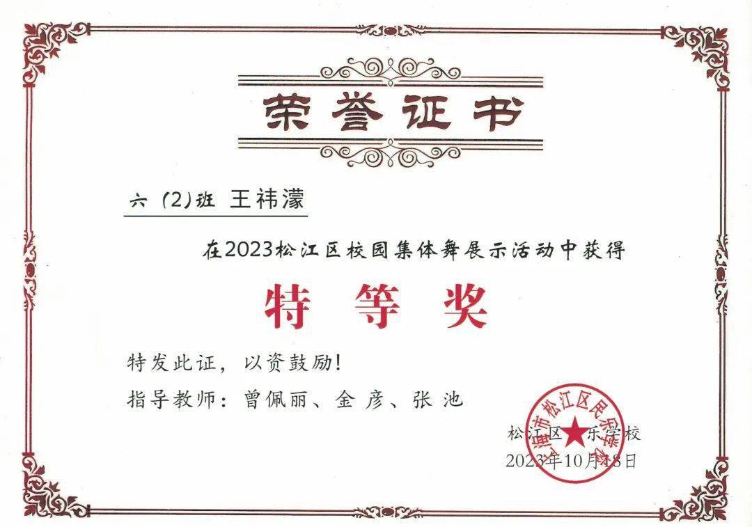 全人教育民乐之星书海绘梦乐中寻志六2中队王祎蒙