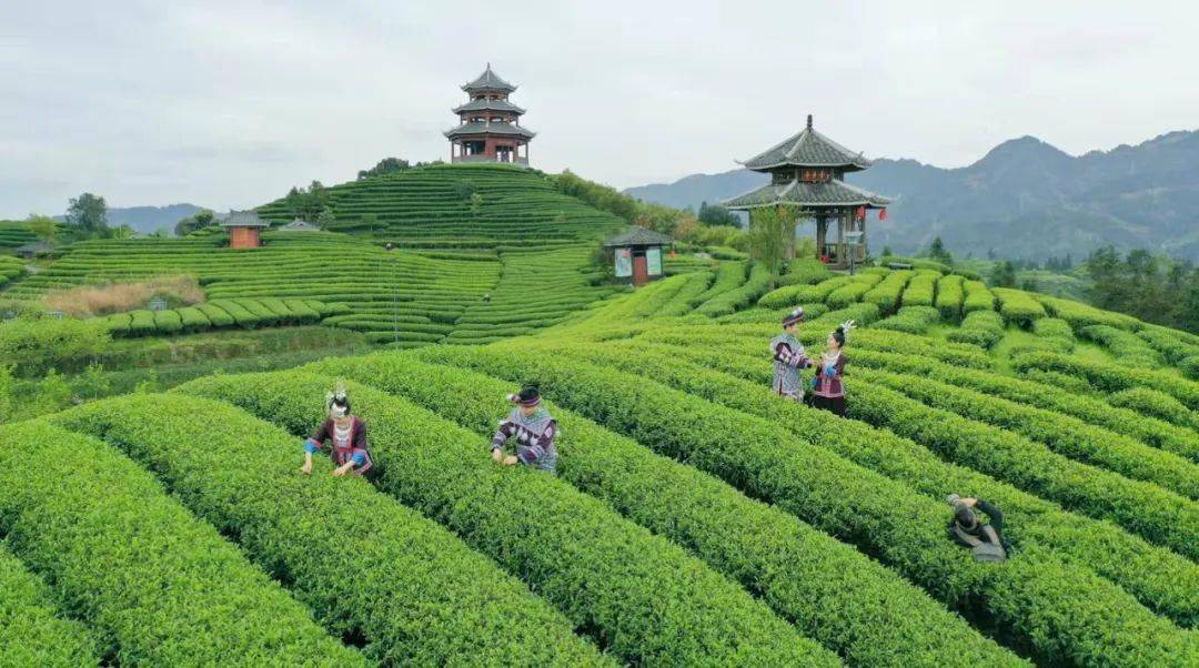 三江仙人山景区图片