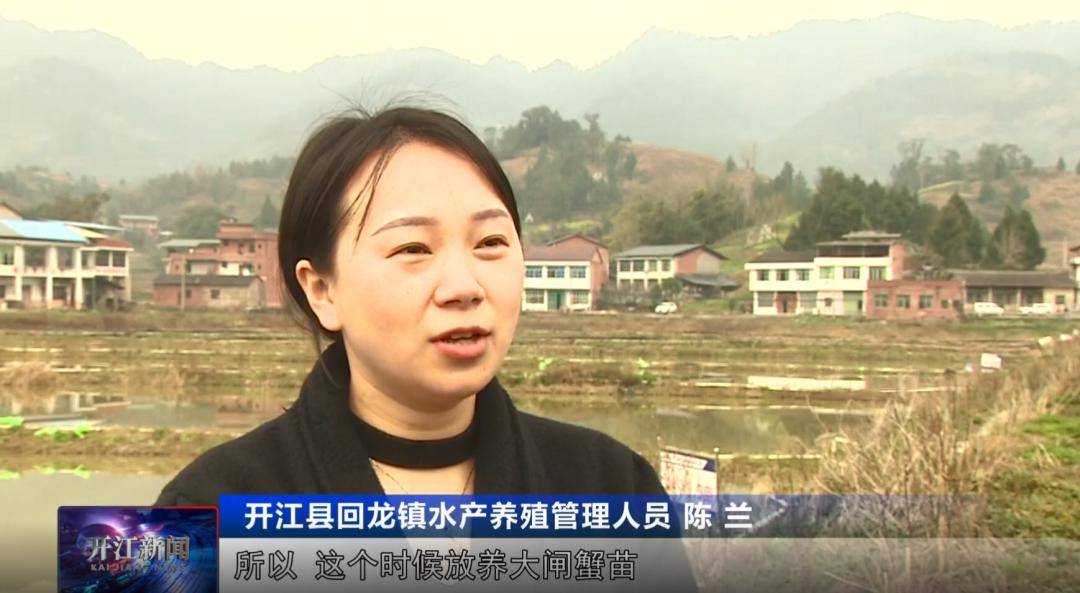 选择适宜天气和温度,工人师傅正在按照时间节点,在开江县回龙镇水产