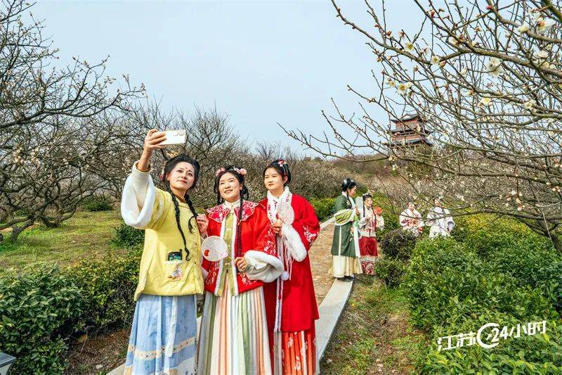 18:45上线)3月1日,南京市溧水区洪蓝街道傅家边科技园十里梅岭梅花