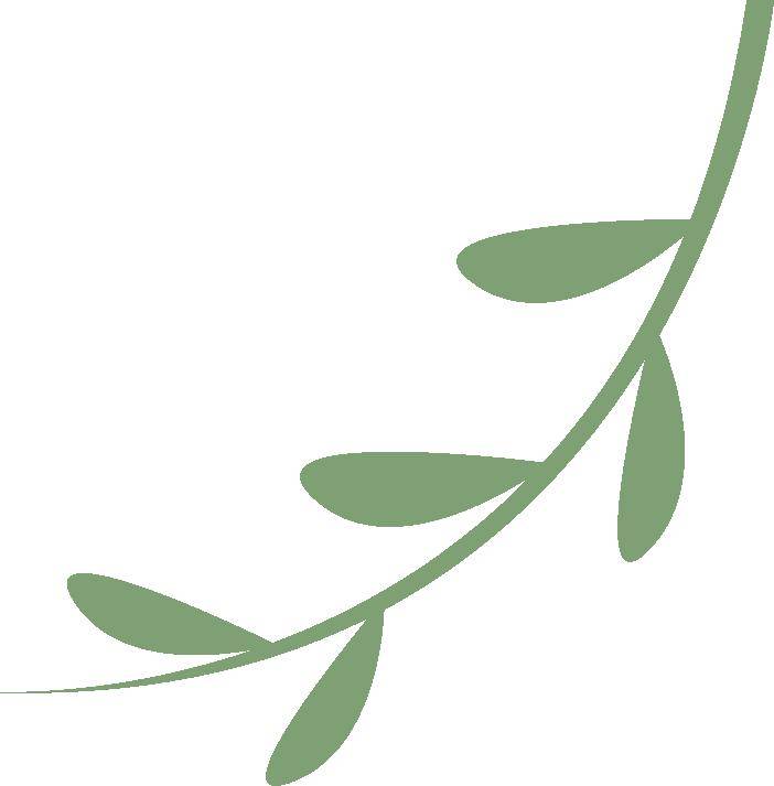 三月寻她阅见春意盎然