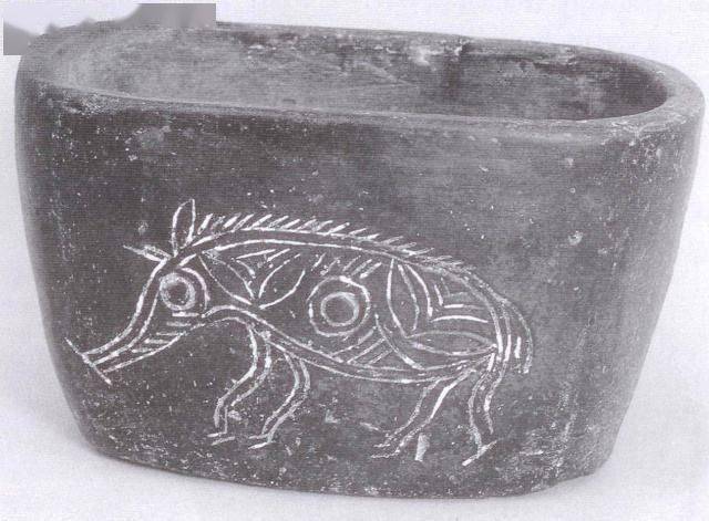 家猪的起源和驯化_遗址_文化_野猪