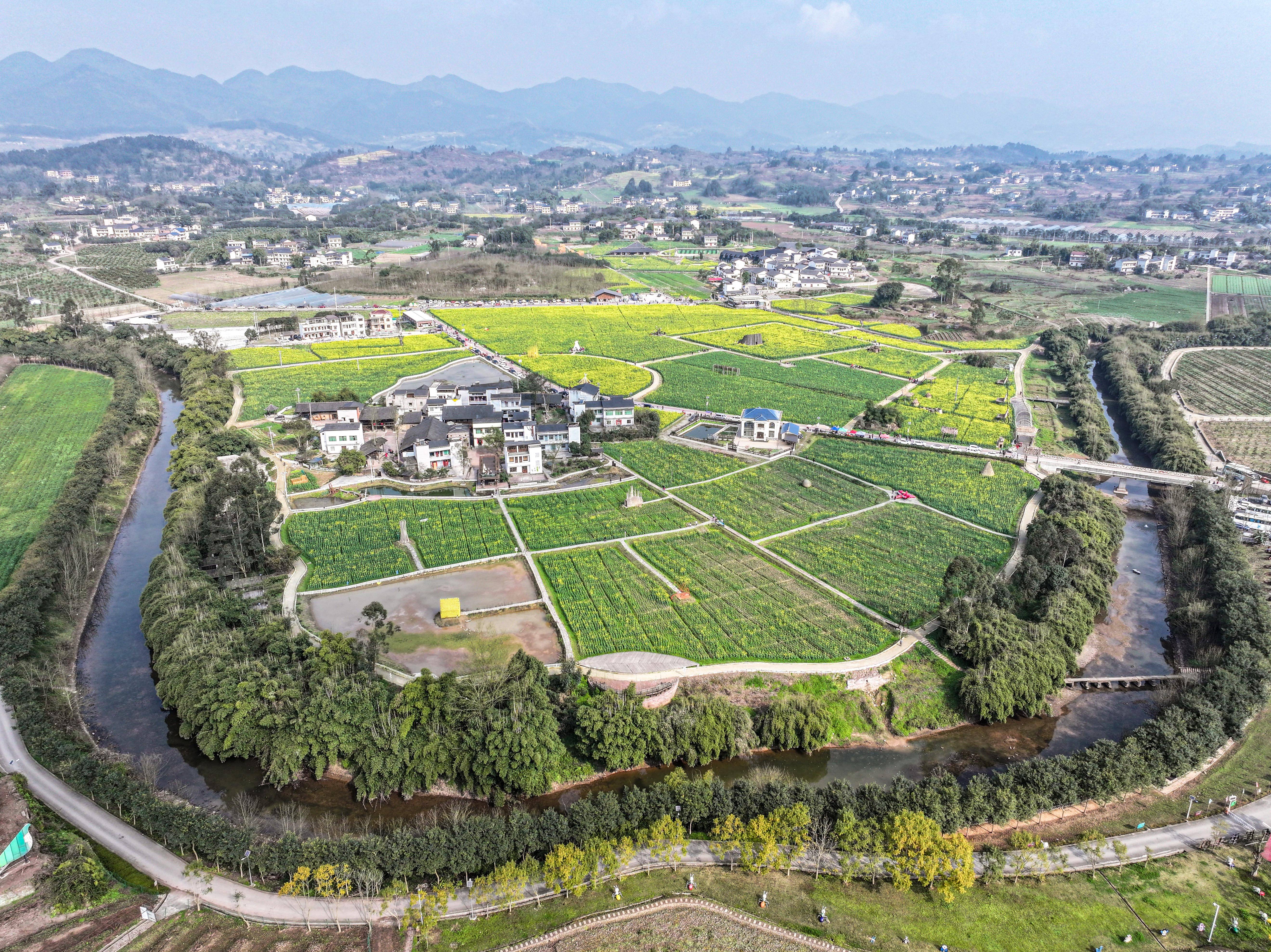 重庆璧山油菜花开扮靓乡村