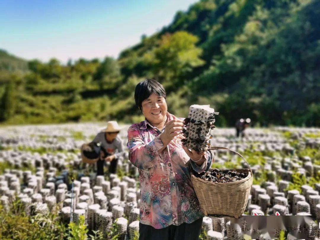 善作善成甘肃三农工作持续向好2023年我省农业农村发展成效明显