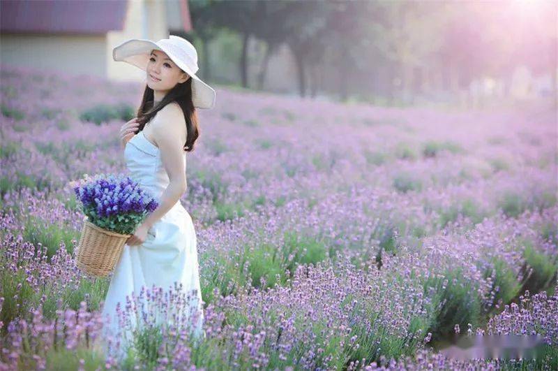 【连衣裙】宋冬野经典歌曲(深情次中音萨克斯音乐)_唯美_店铺_品牌