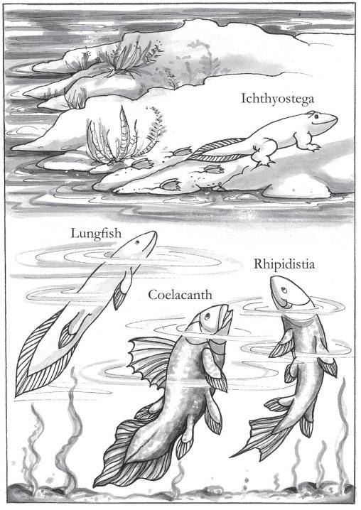 2023"最美科学阅读"榜单 | 《寻找我们的鱼类祖先