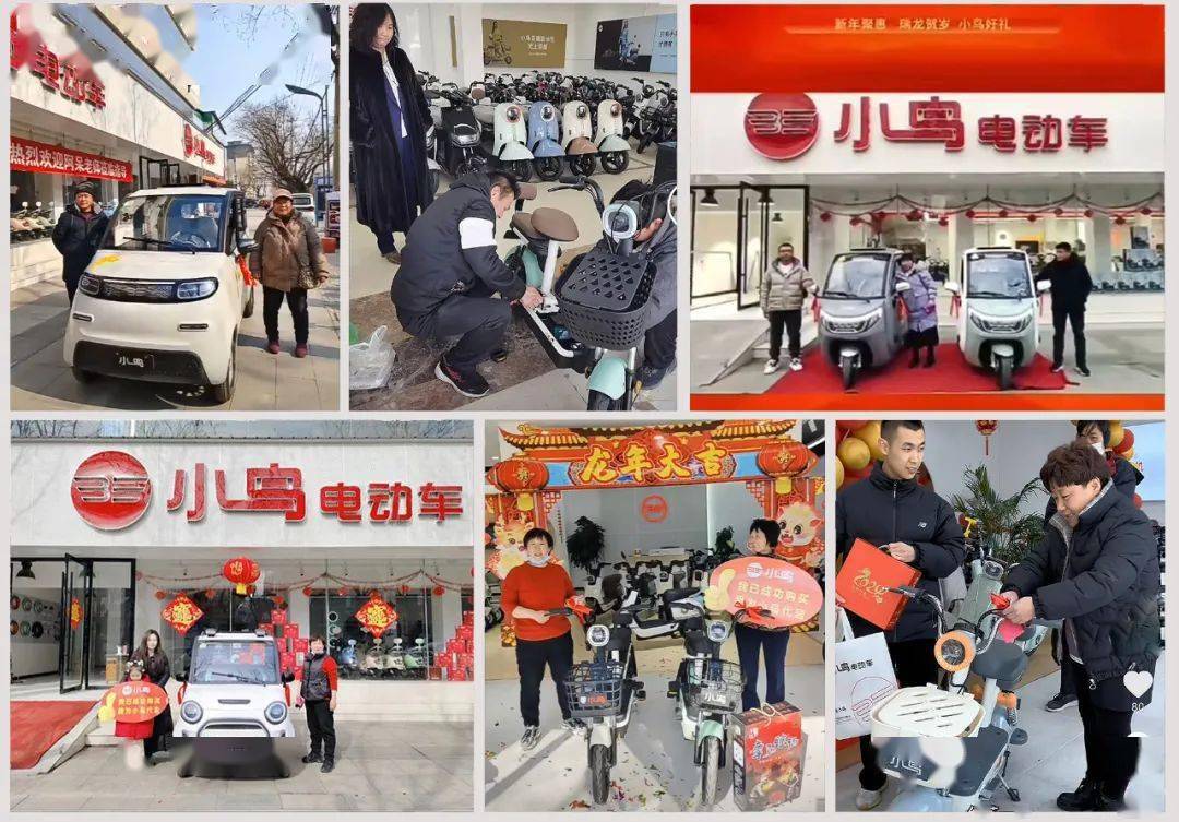 小鸟实力开局,持续劲销,多地销量创新高!_市场_品质_热度