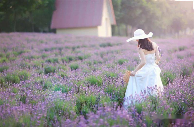 【连衣裙】宋冬野经典歌曲(深情次中音萨克斯音乐)_唯美_店铺_品牌