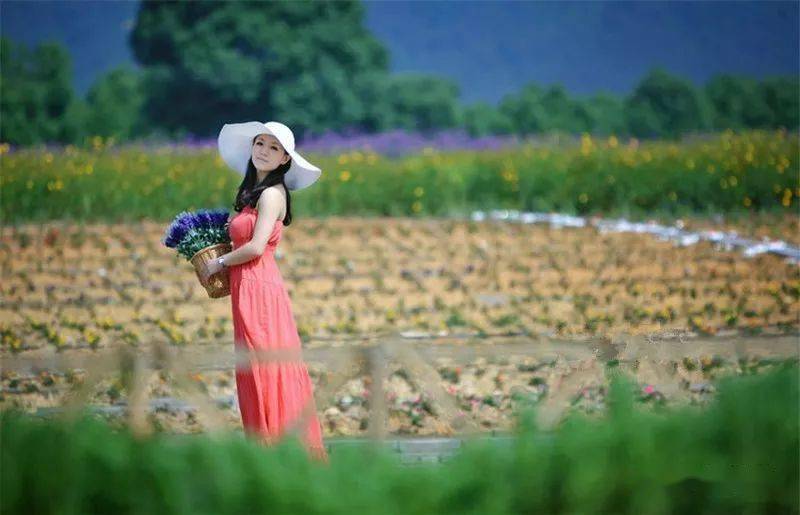 【连衣裙】宋冬野经典歌曲(深情次中音萨克斯音乐)_唯美_店铺_品牌