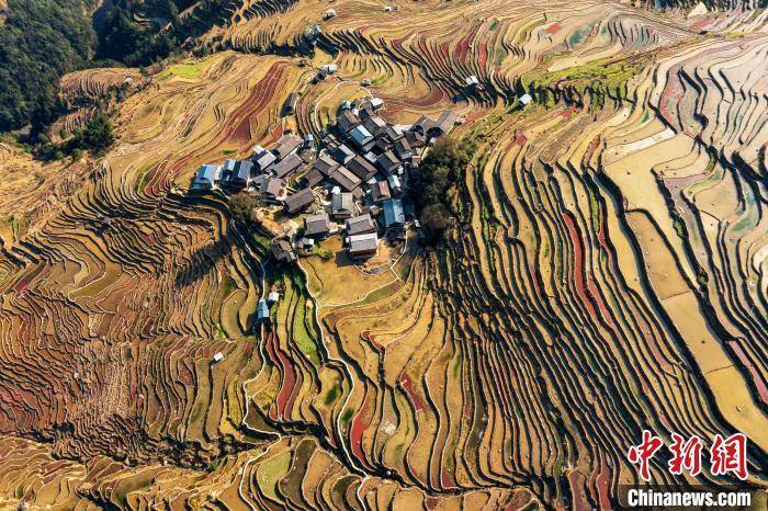 贵州从江梯田春色美如画