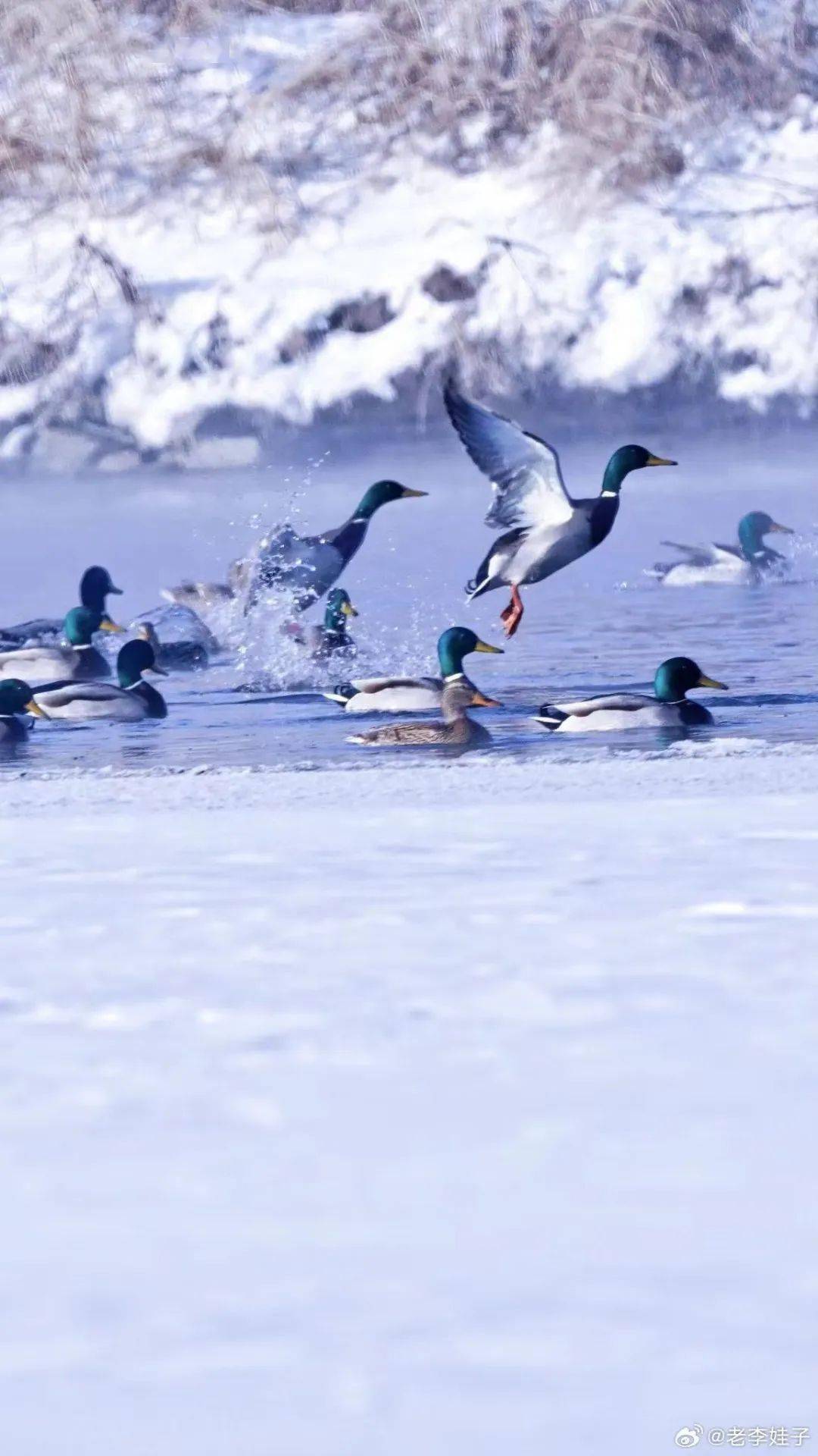 直接抄作业早春三月游长春这份指南先码住