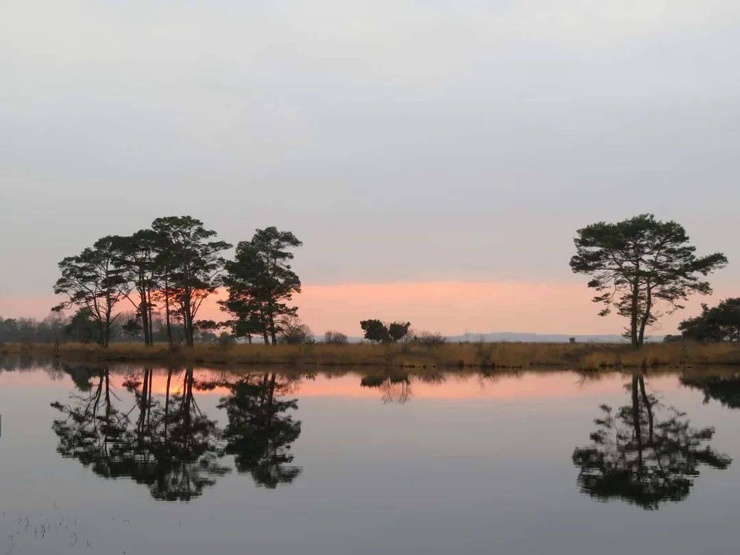 水映·树影_photo_by_看客