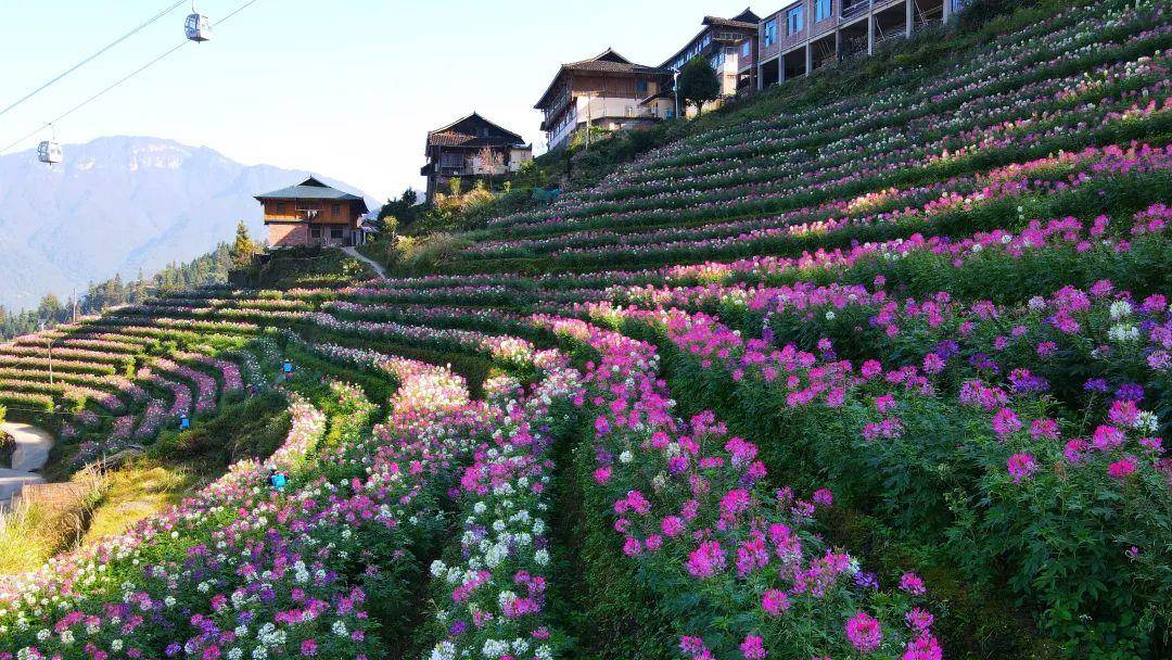 随行人员门票半价刘三姐大观园景区位于桂林市区,座落在风景秀丽的