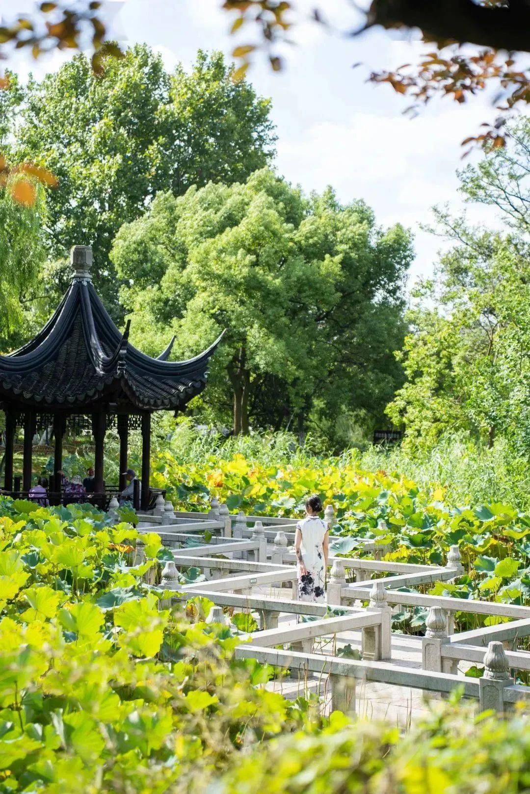 061999抢昆山兰博基尼总套赠行政礼遇!_套餐_早餐_空间