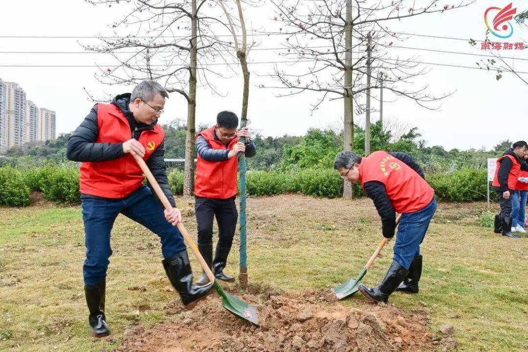 近18万棵树苗安家桂城全民植树共建绿美家园