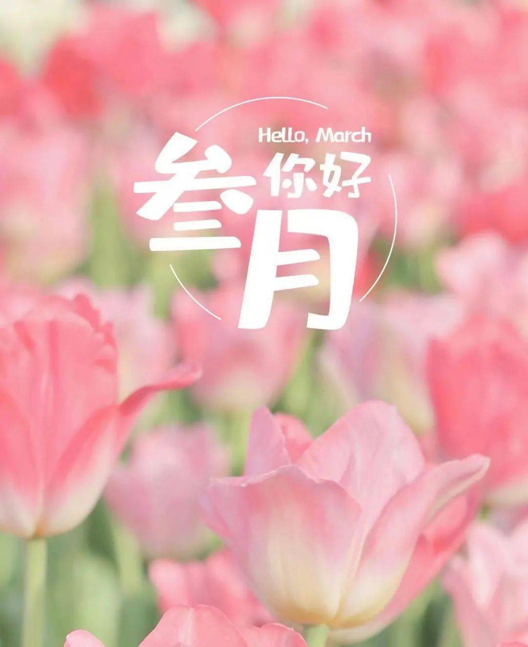 三月,虹口文化活动伴着春风与您,不见不散~_简介_街道_方式