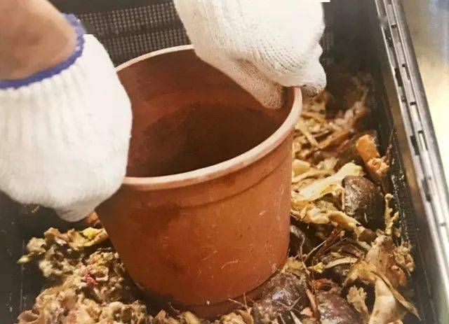 台友_组装_盆栽