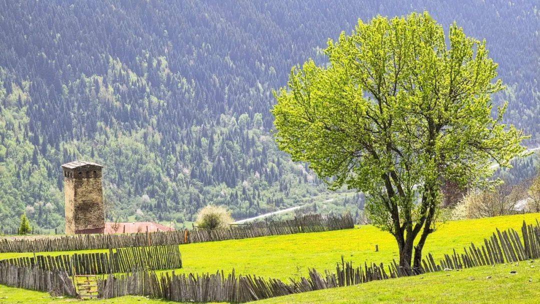 不私藏了格鲁吉亚徒步天花板级攻略在这里