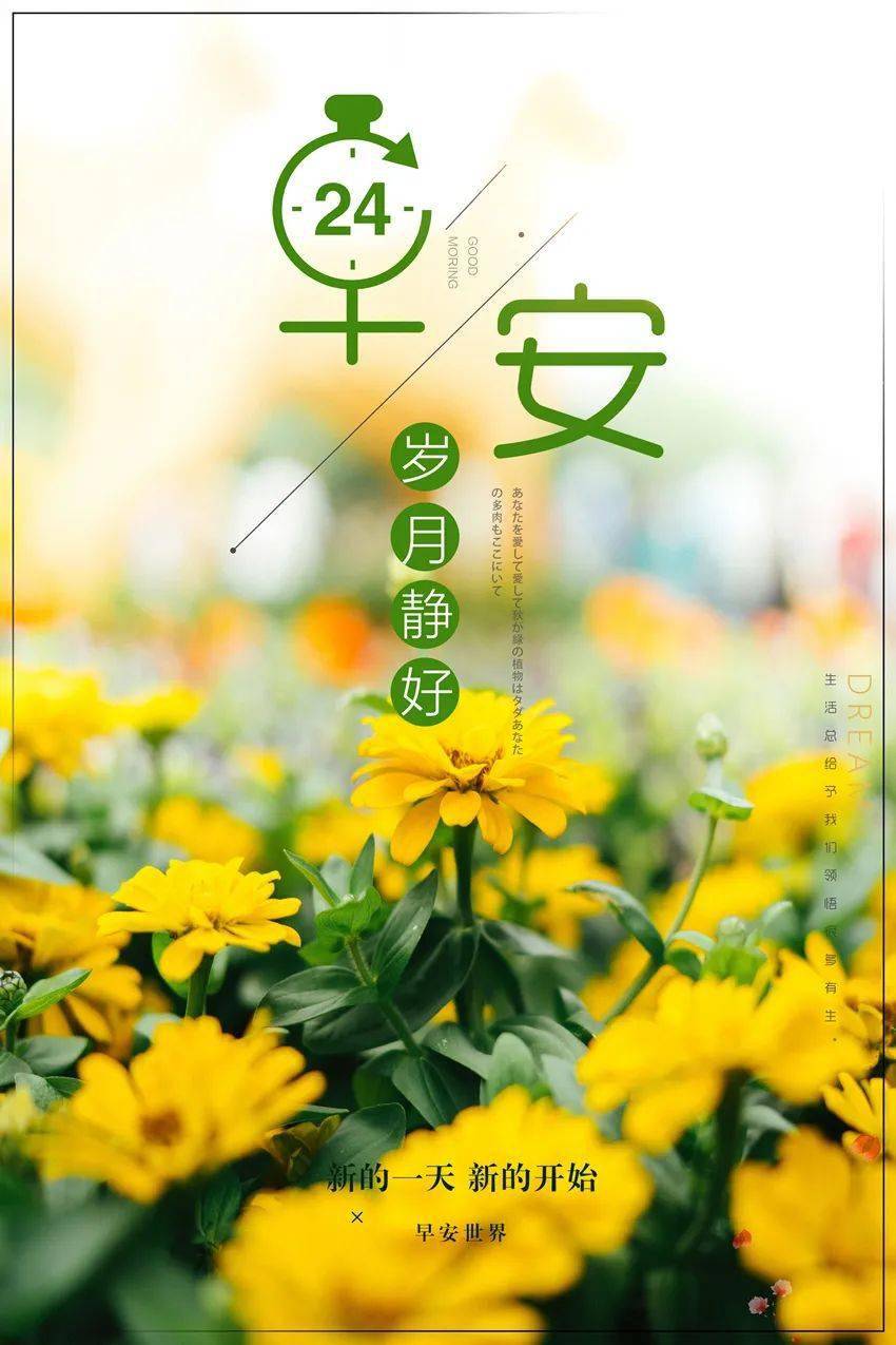 3月3日早安图片最新