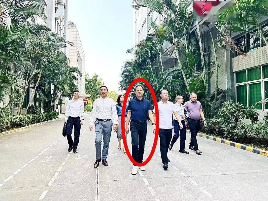陈志峰董事长个人简历(陈志峰董事长个人简历图片)