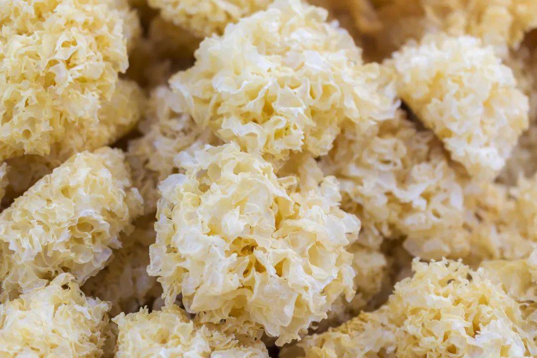 干银耳和鲜银耳,谁更营养?吃错了会中毒_食用_弹性_死亡