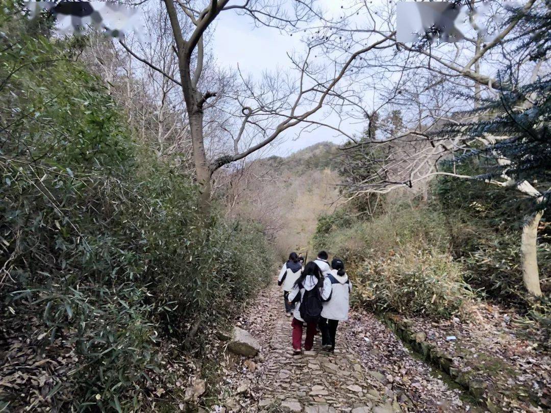 这样的活动应该全市推广……_蓬山_山顶_登山